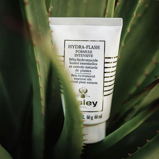 SISLEY     HYDRA FLASH     CR 60ML